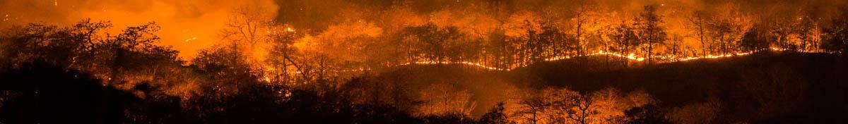 wildfire_banner