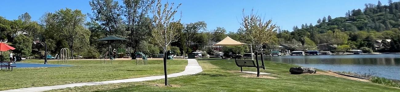 Meadow_Header