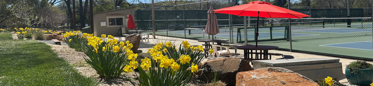 Pickleball