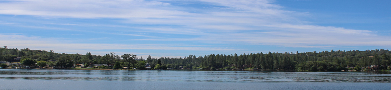 Website_Header