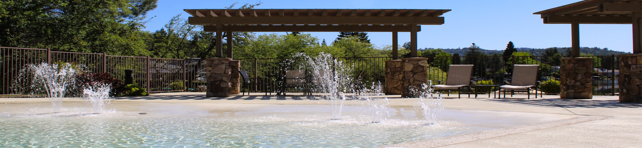 Website_Header_5